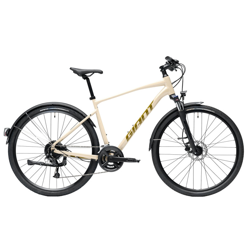 GIANT ROAM EX